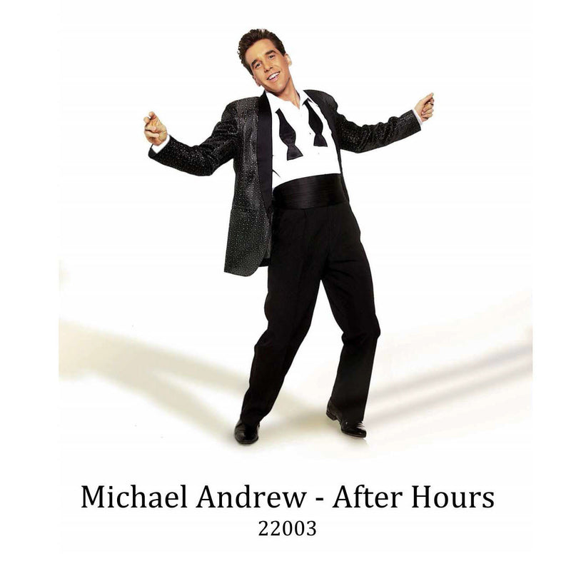 Serie Aritist: Michael Andrew After Hours