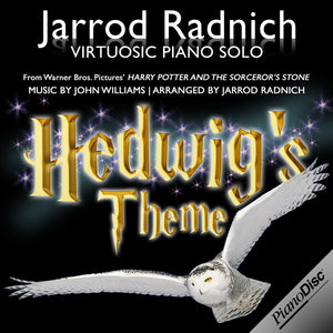 Artist Series: Jarrod Radnich - "Hedwig's Theme" from Harry Potter